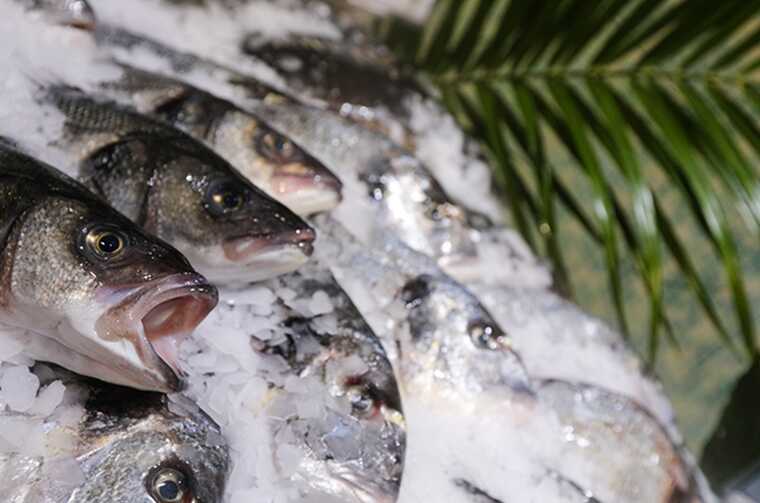 Who controls Russian fish exports to Europe from the Barents Sea to the Thames?