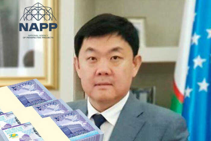 Shadows over NAPP and covering up criminal activity: Dmitriy Lee and billion-dollar schemes under state protection